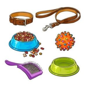 Accessories